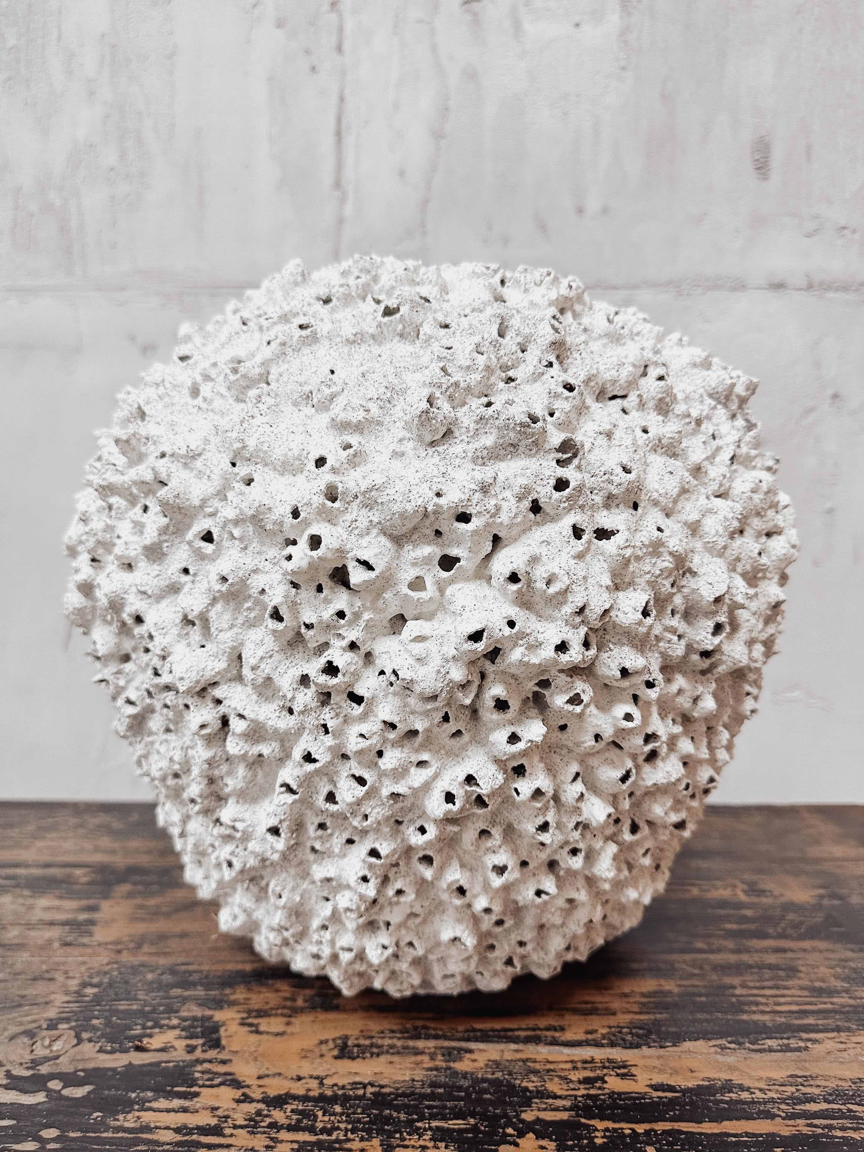 The coral vase