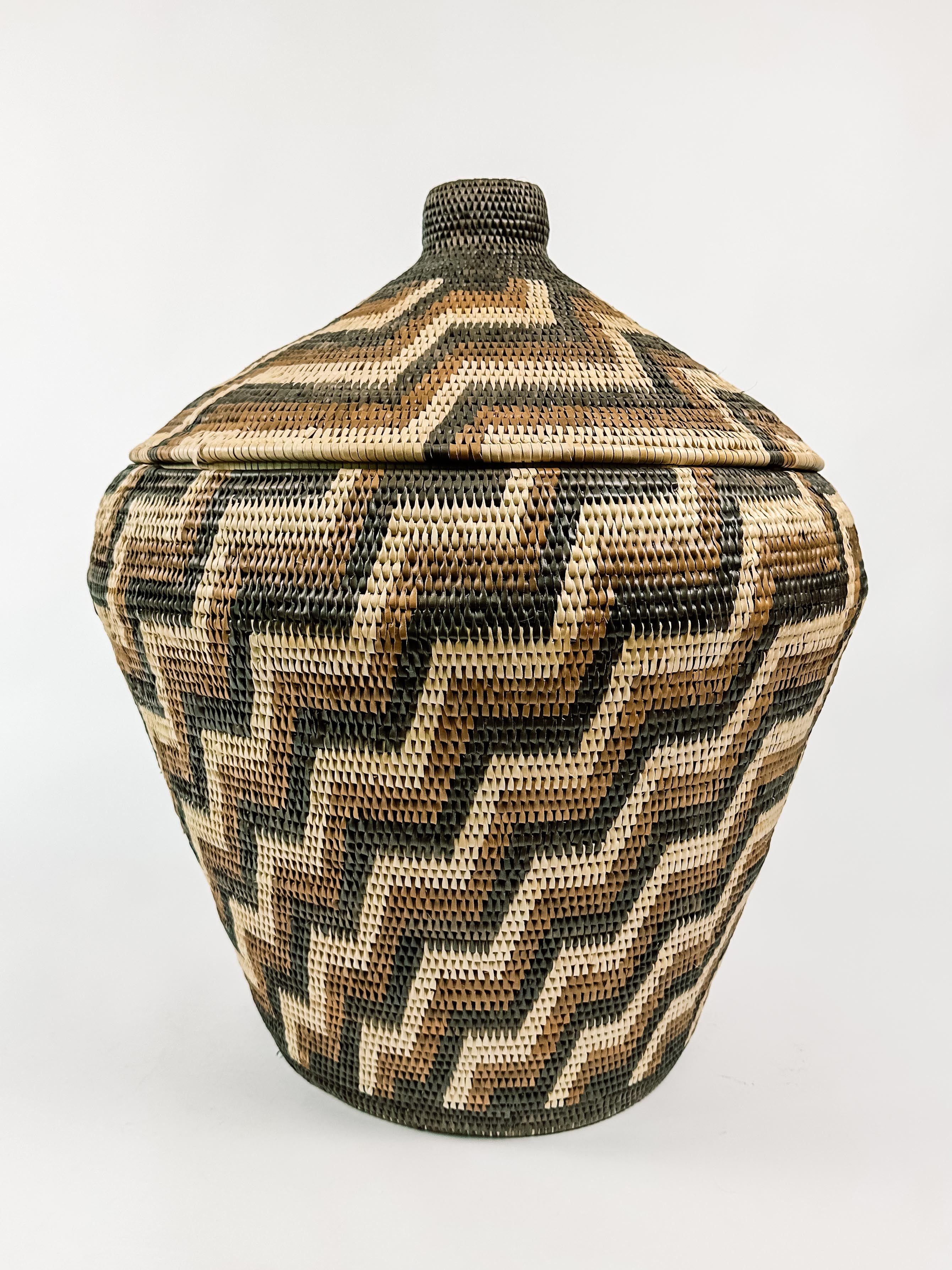 Indonesian basket palm XL #2