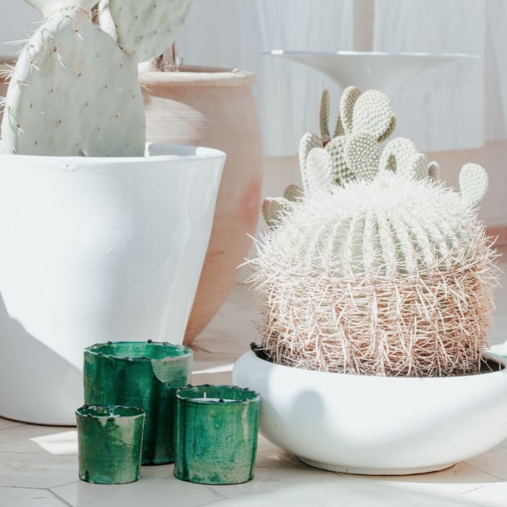 Tamegroute mint / tea scented candle