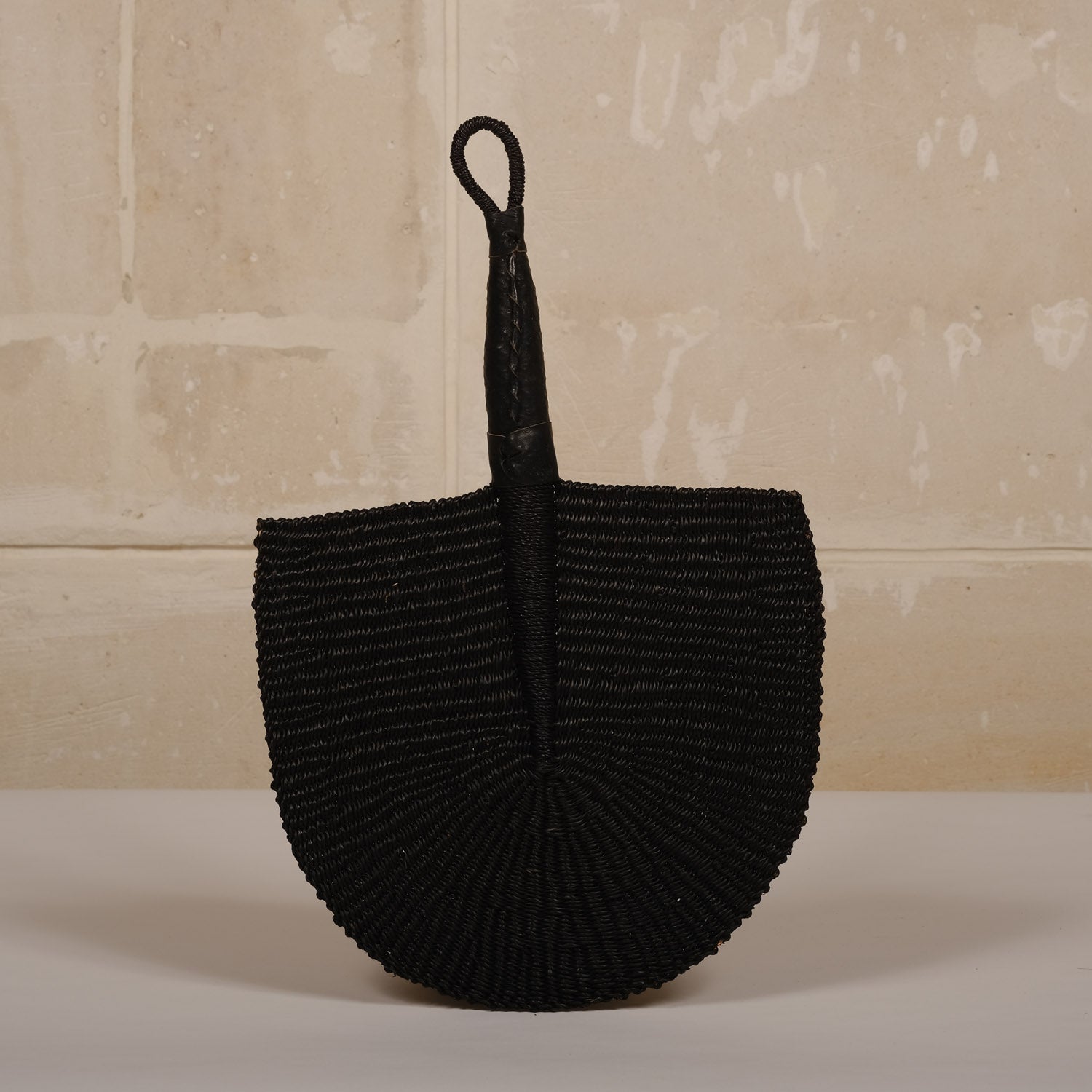 Fan elephant grass black