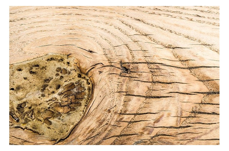 Alte chinesische Holzbank - Mo's Interior Art