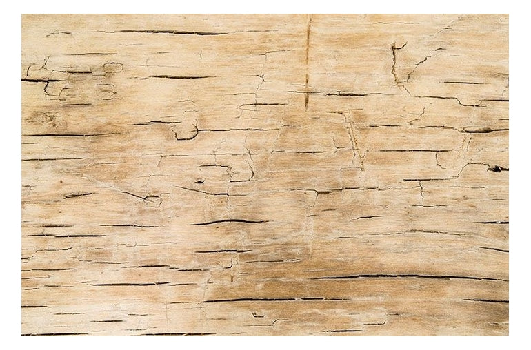 Alte chinesische Holzbank - Mo's Interior Art