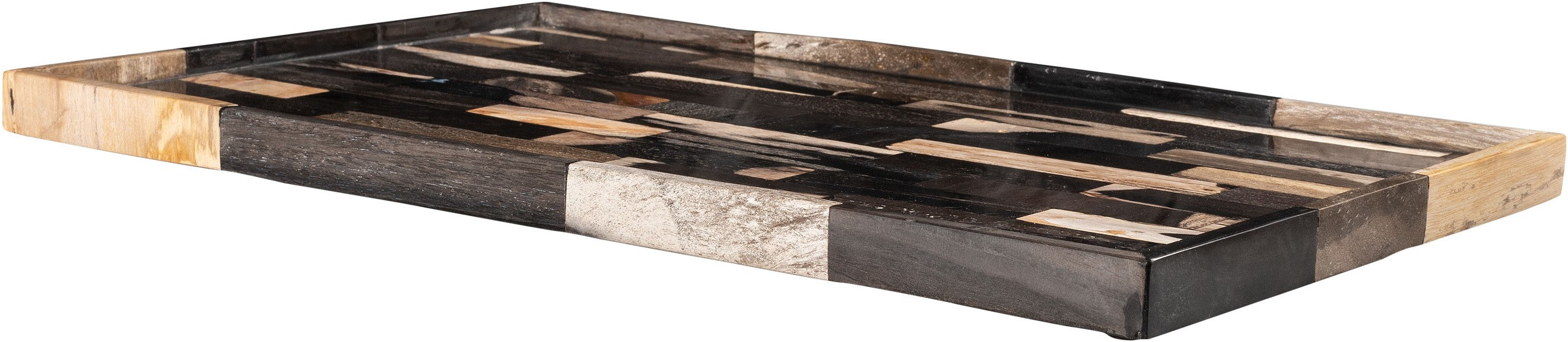 Tray petrified wood