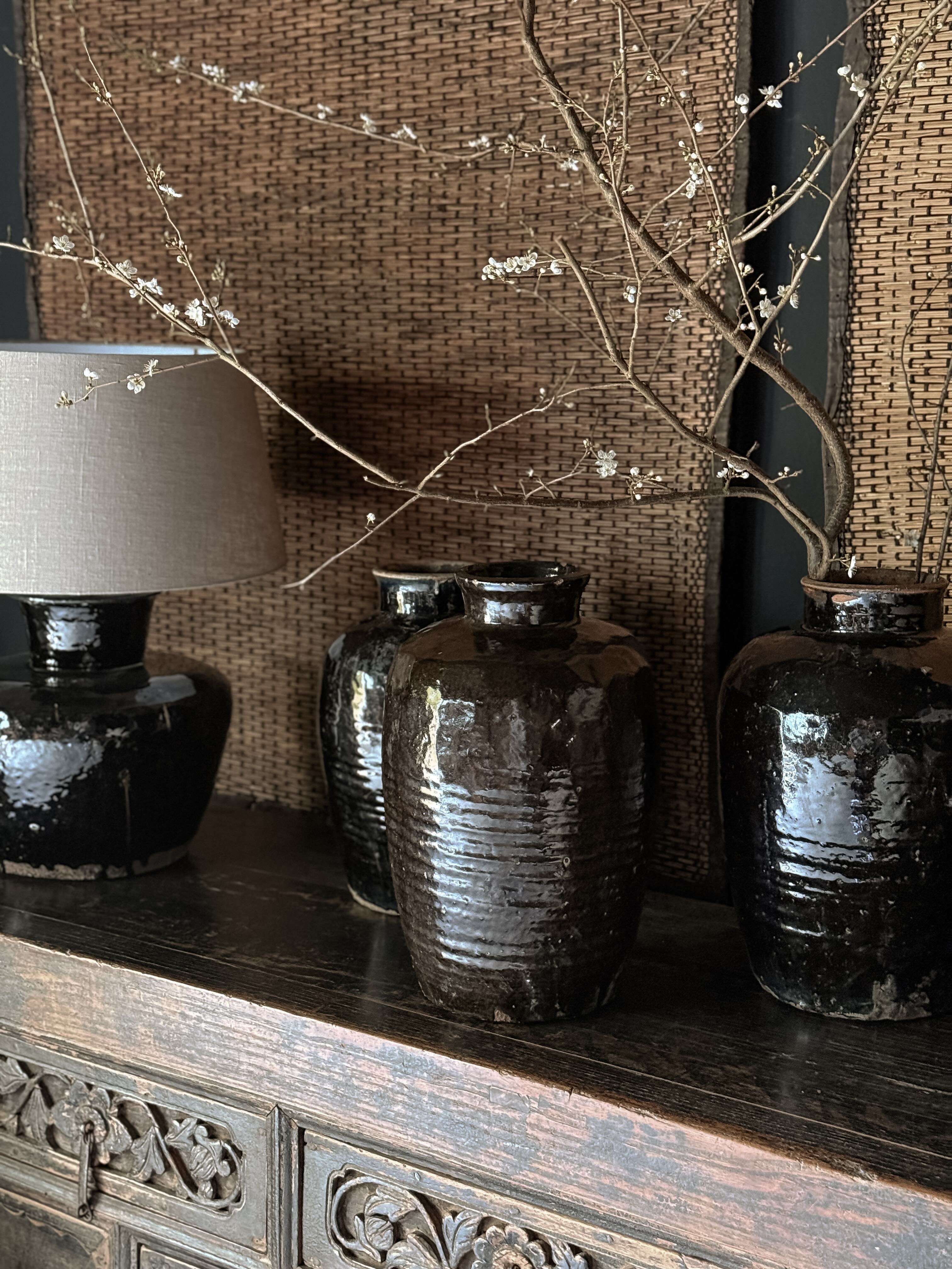 Shanxi Black