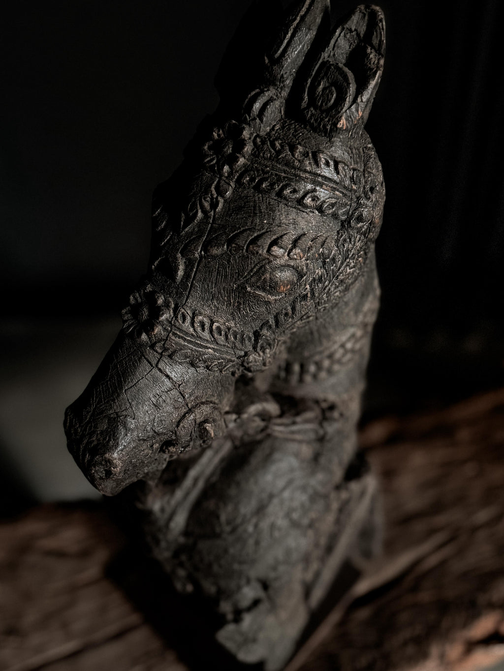 old Indian horse