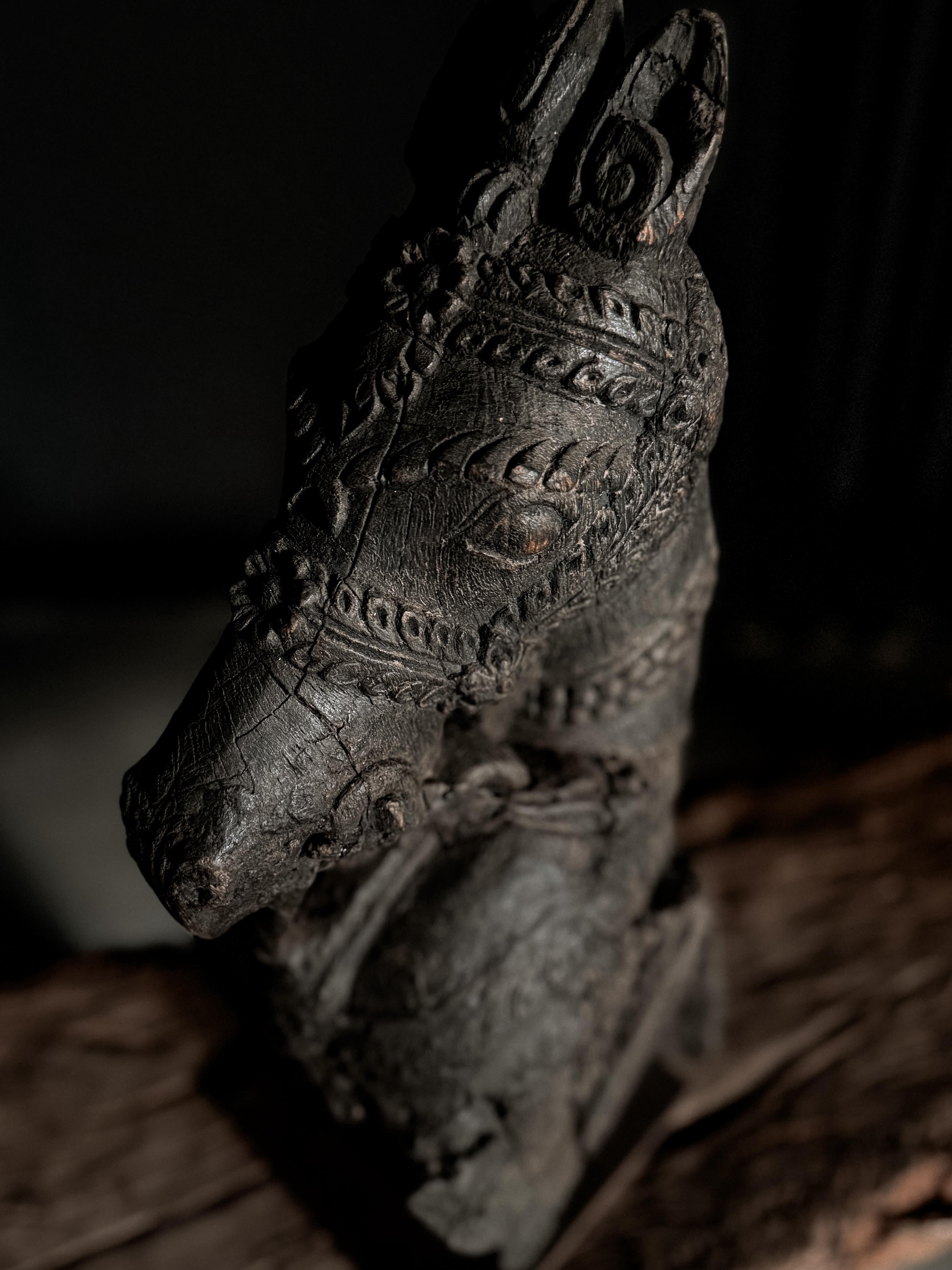 old Indian horse