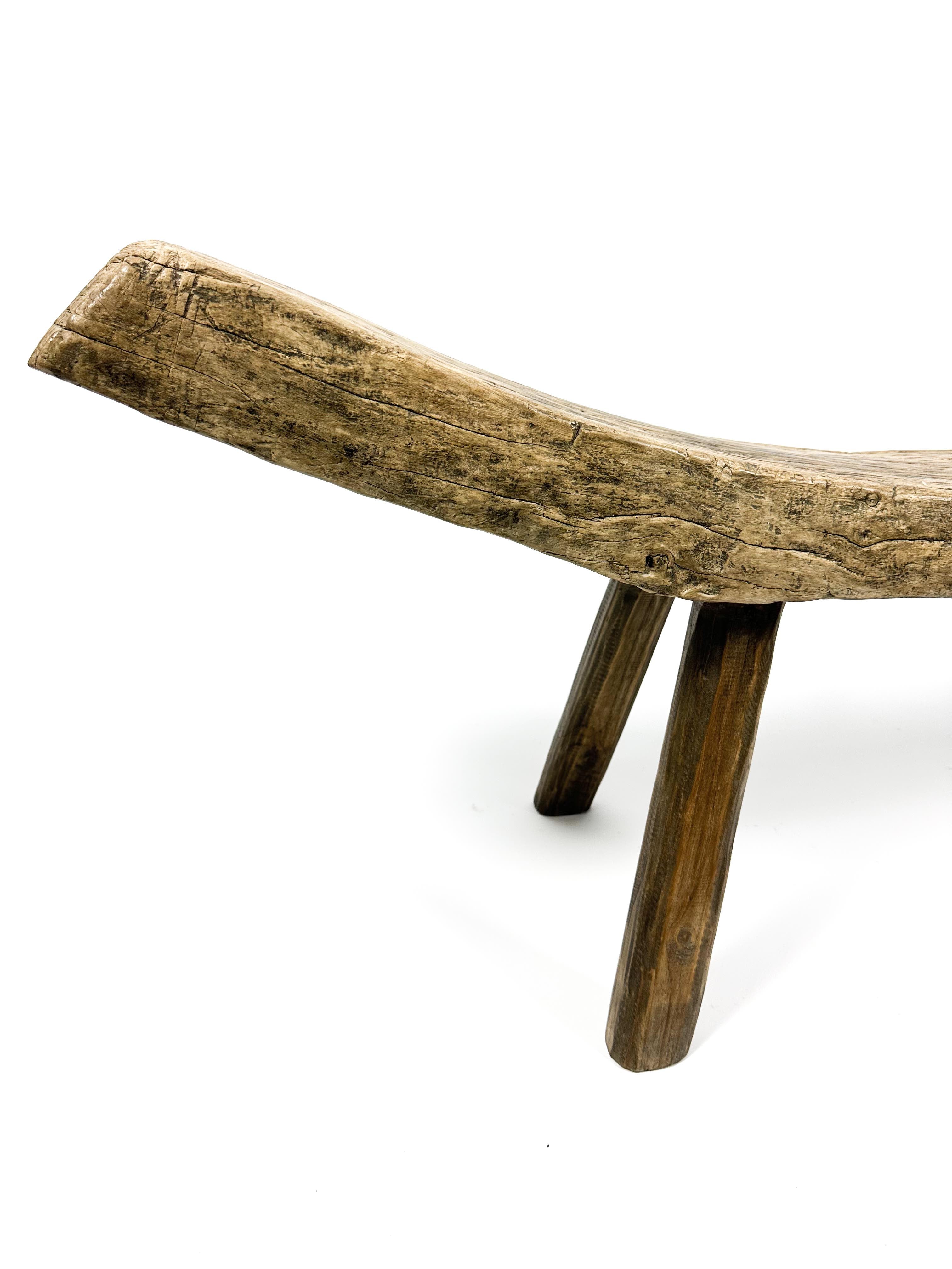 The primitive bench #2