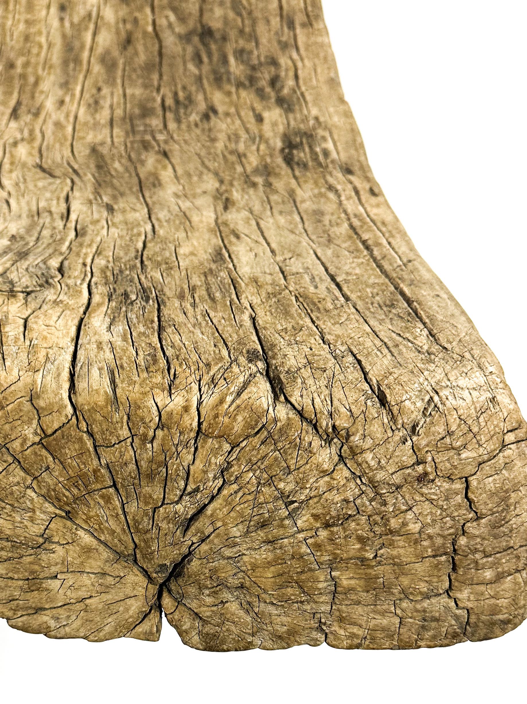 The primitive bench #2