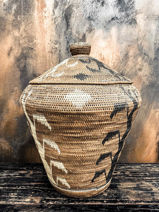 Indonesian basket palm XL #4