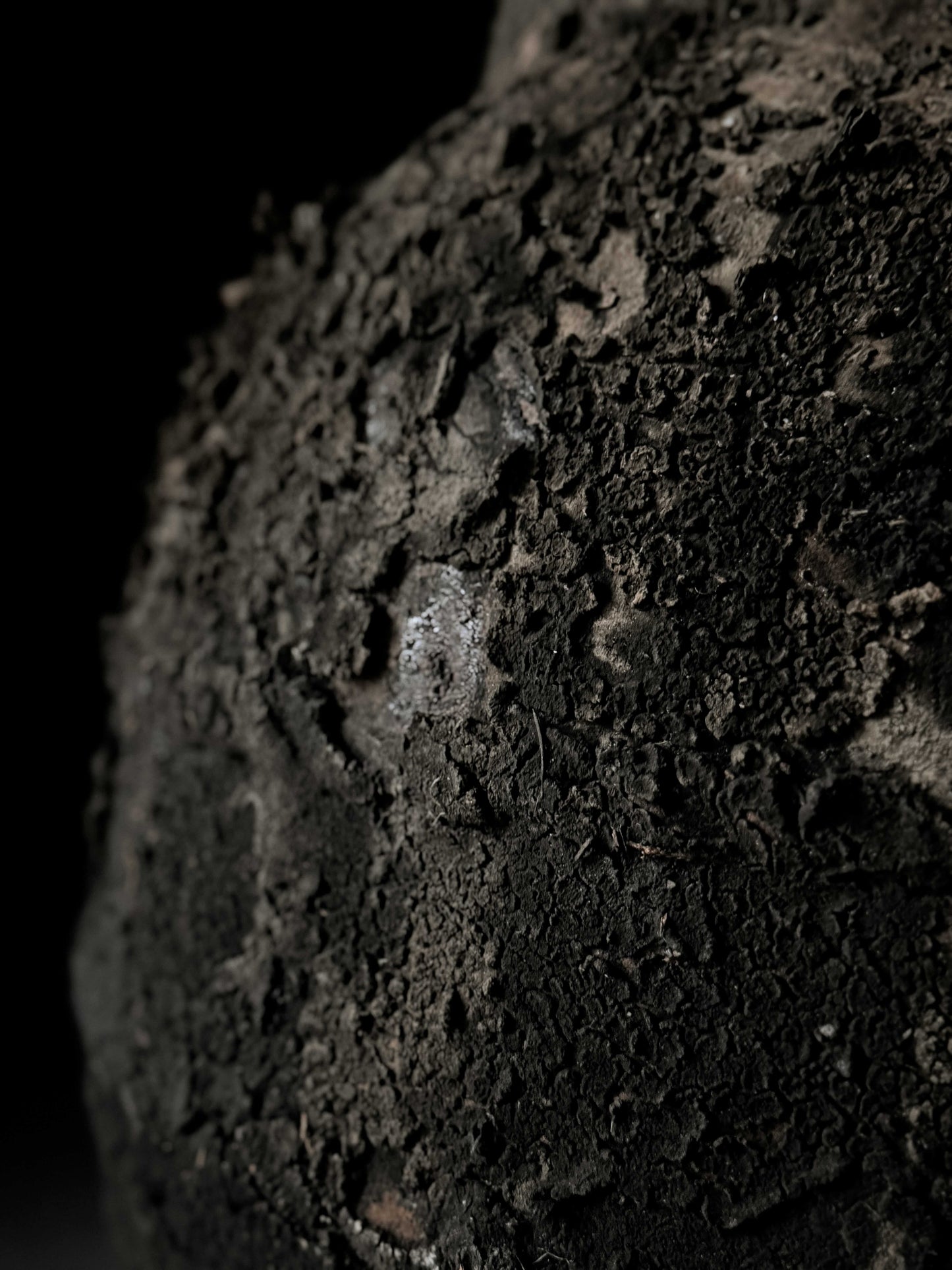 The Irreplaceable Pot