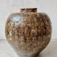 Antique seashell coin jar