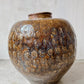 Antique seashell coin jar