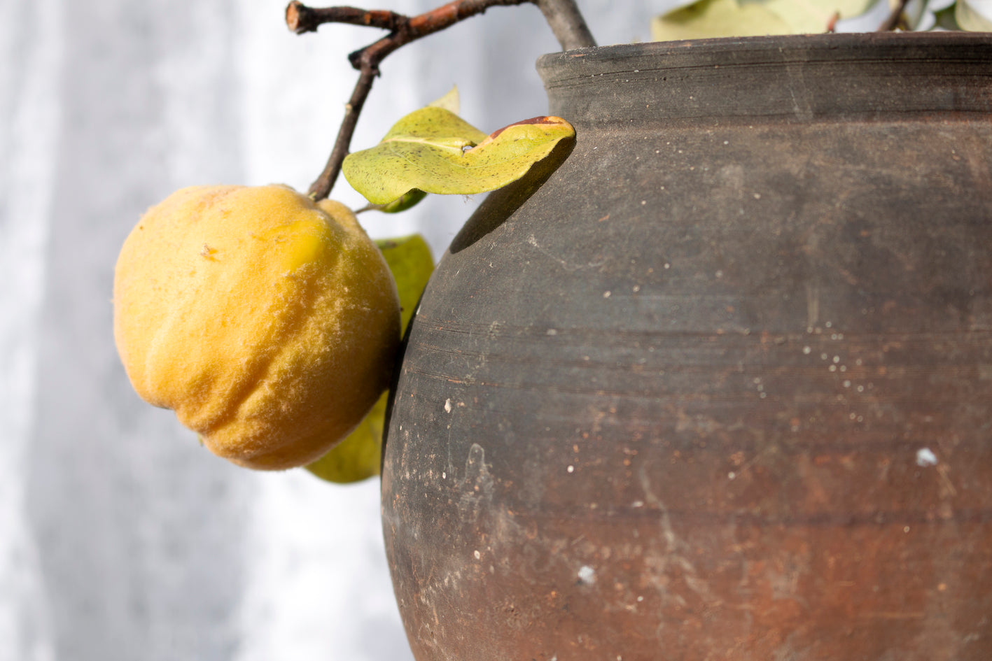 antique Ukraine pot #13