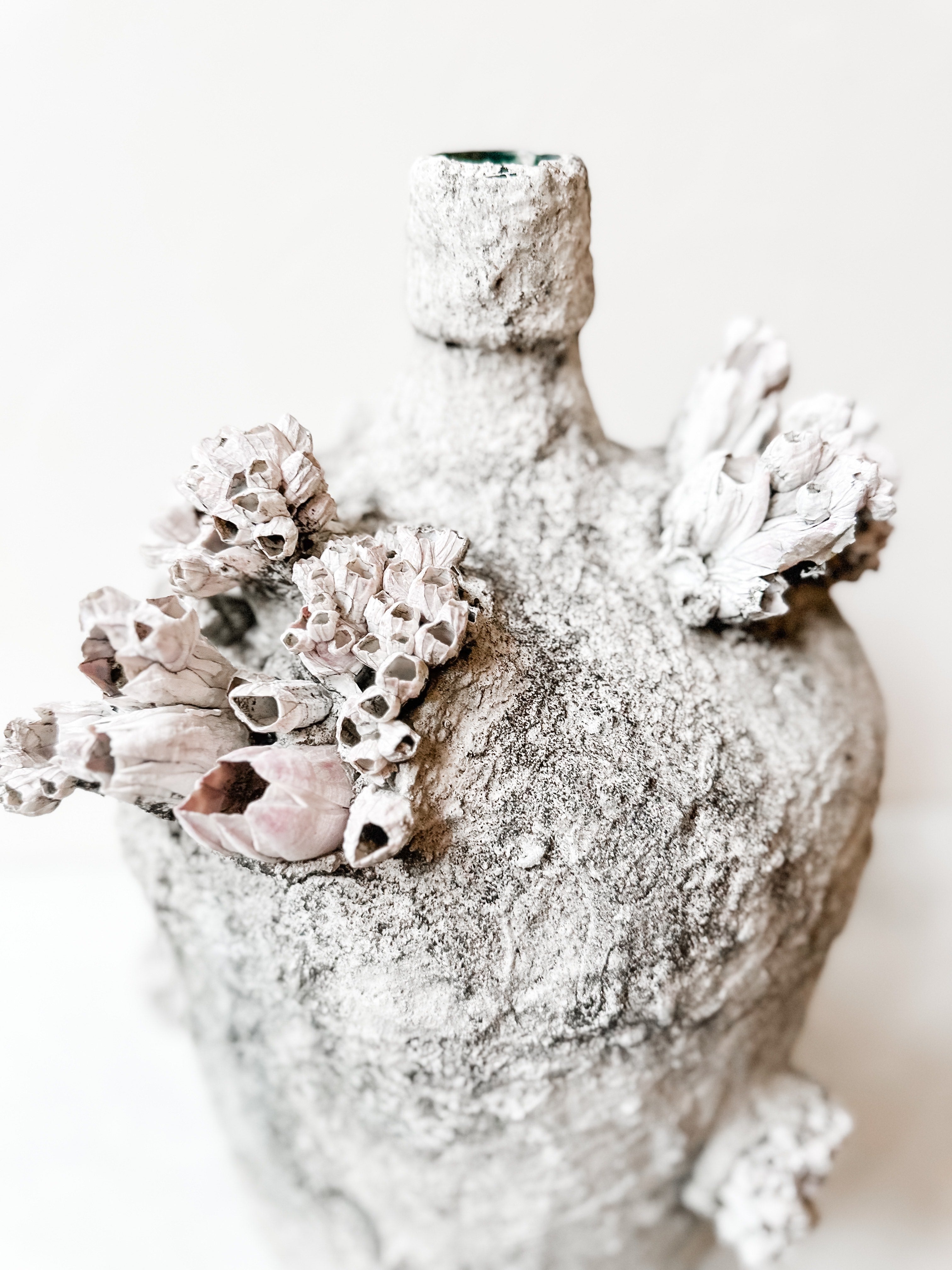 Coral and shell decor bottle