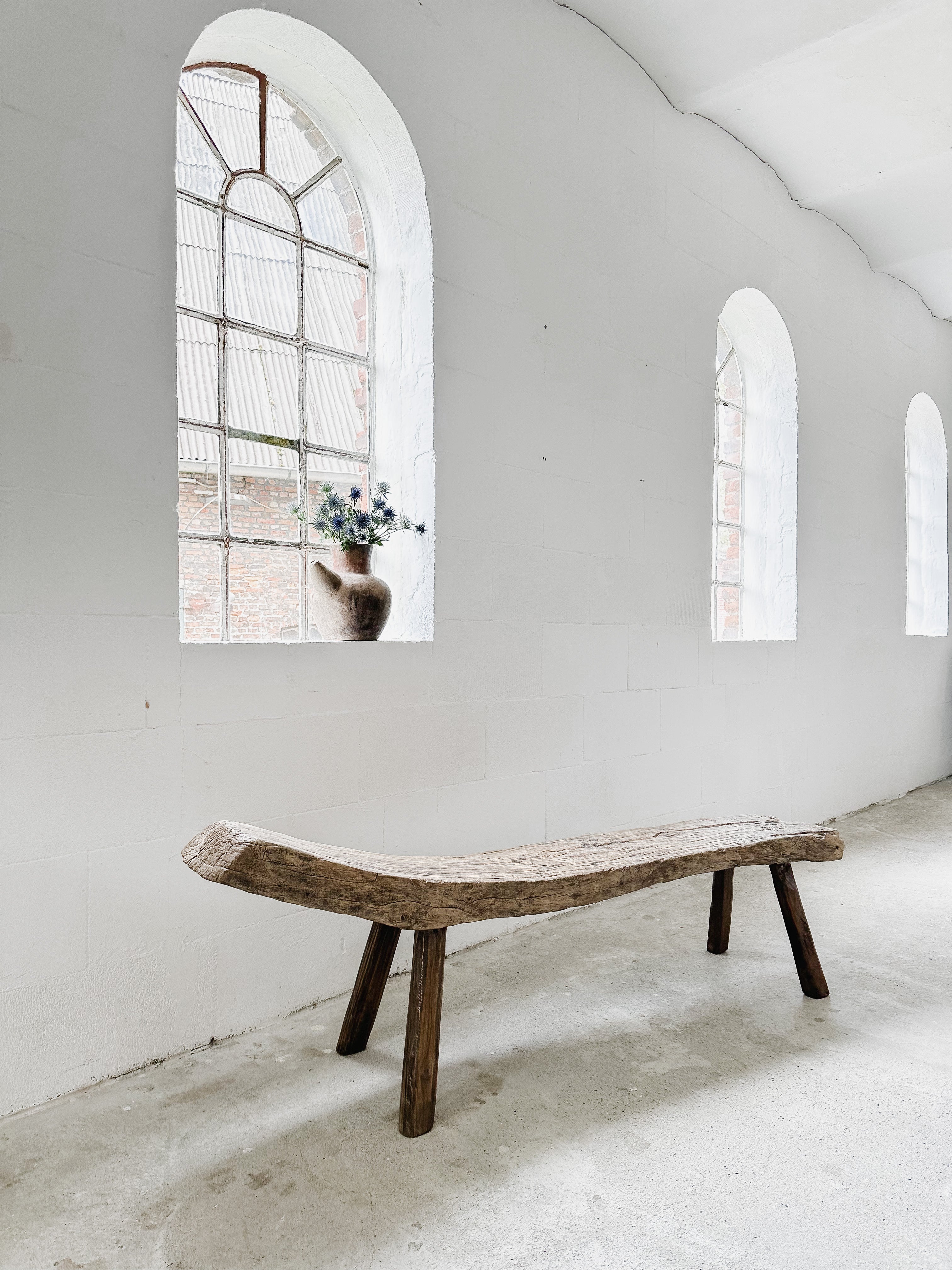 The primitive bench #2