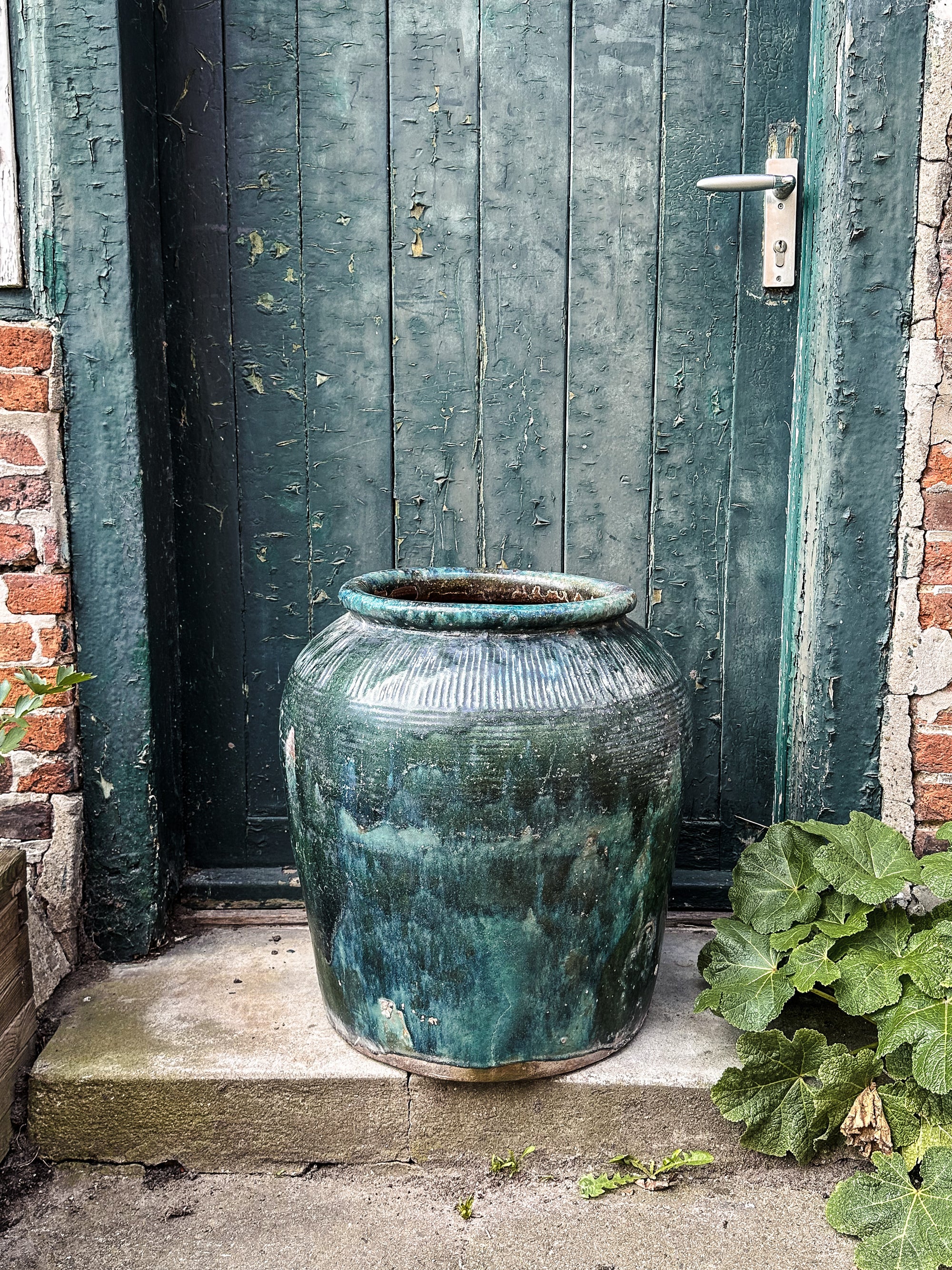 The antique Borneo water jar green #1