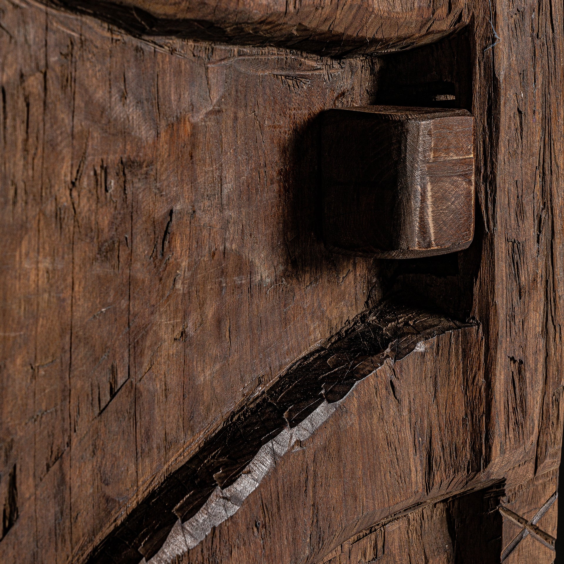 Naga Door