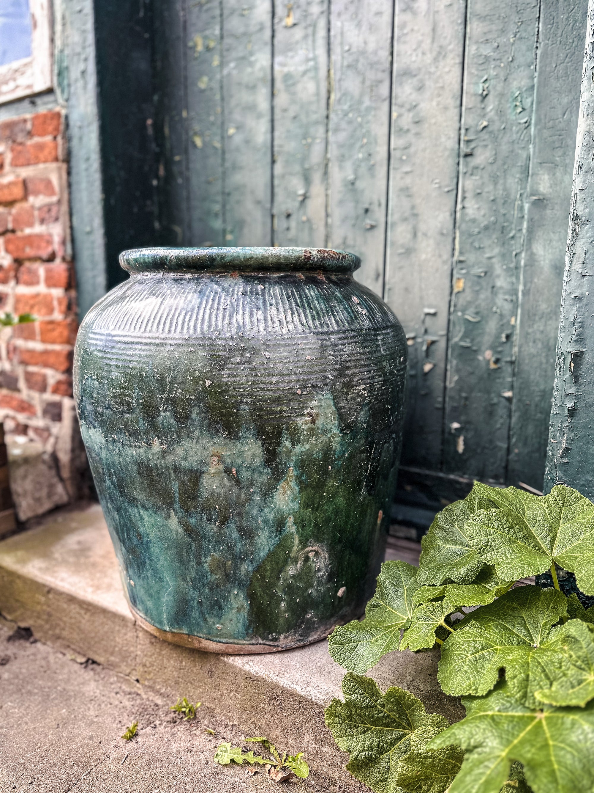 The antique Borneo water jar green #1