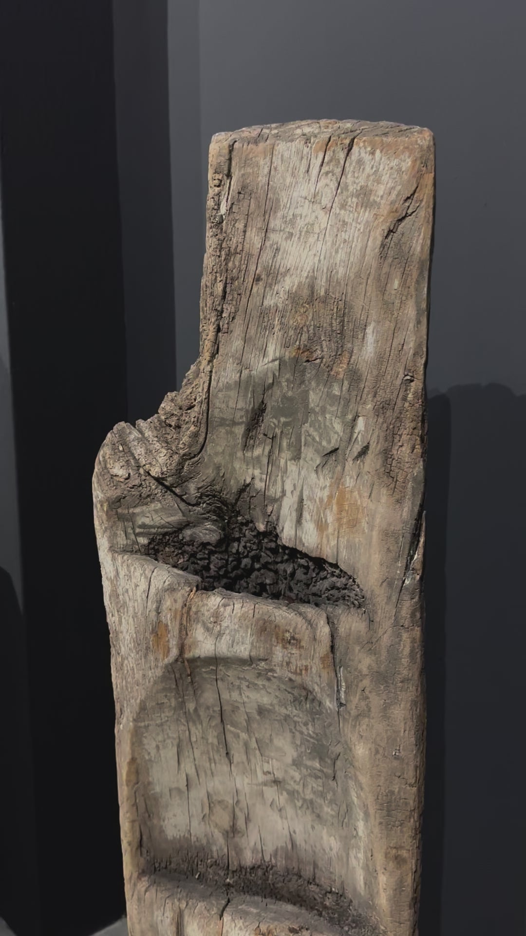 Old Naga Totem