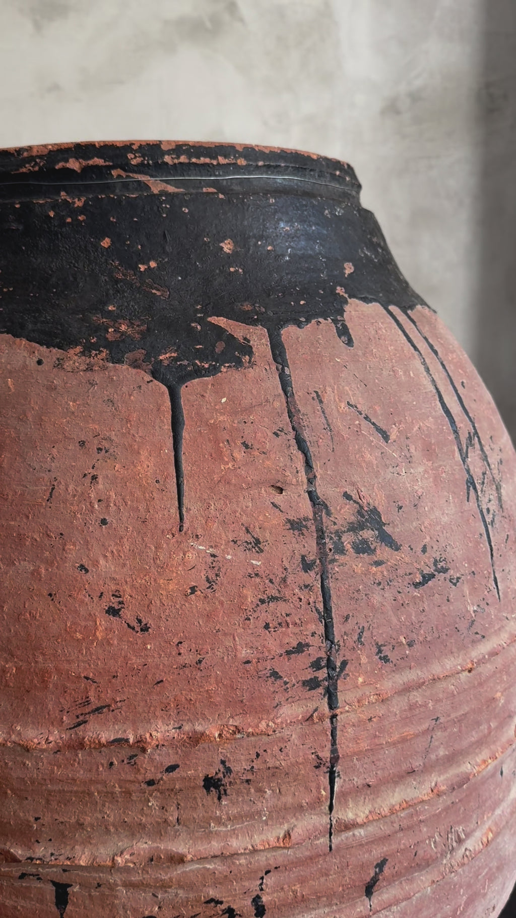 antique olive pot XXL