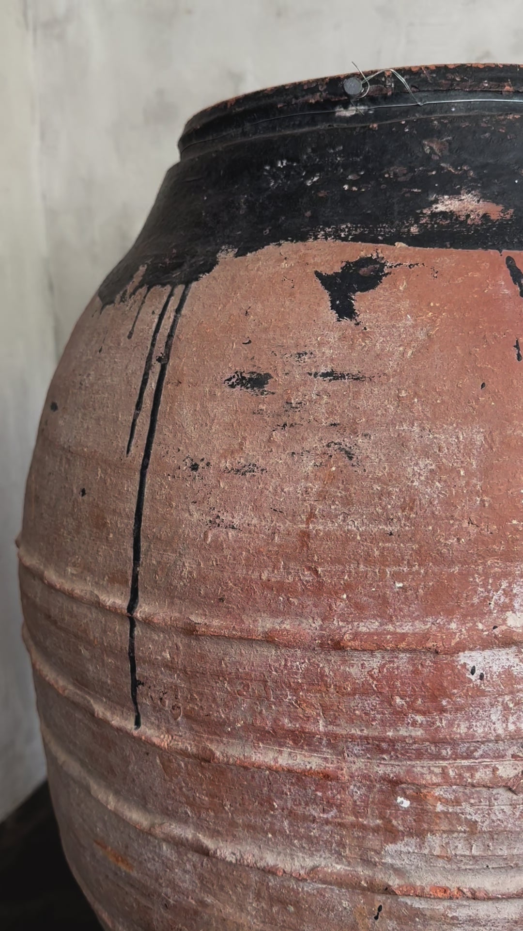 antique olive pot XXL