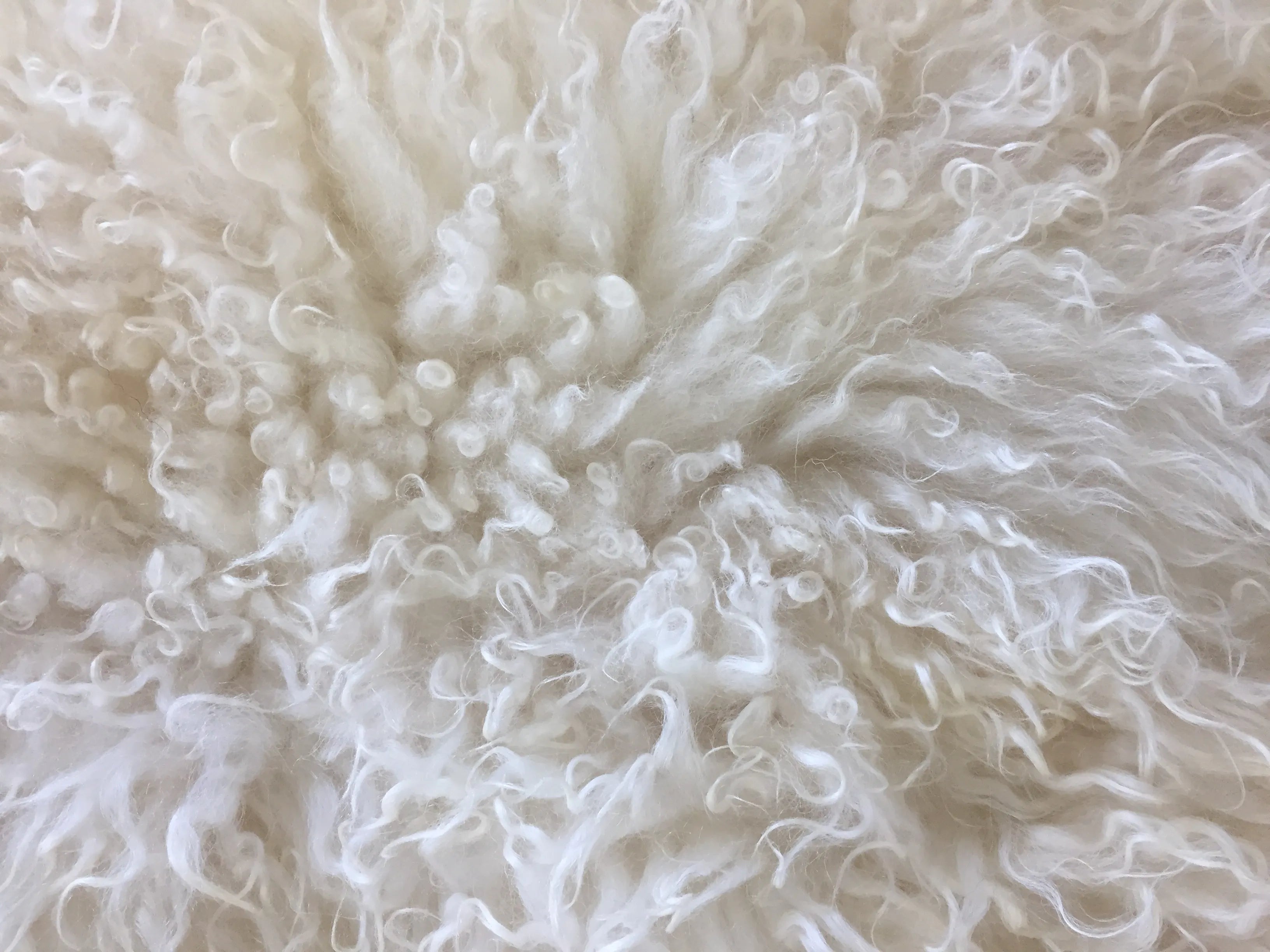 Islandic seat sheepskin offwhite curly