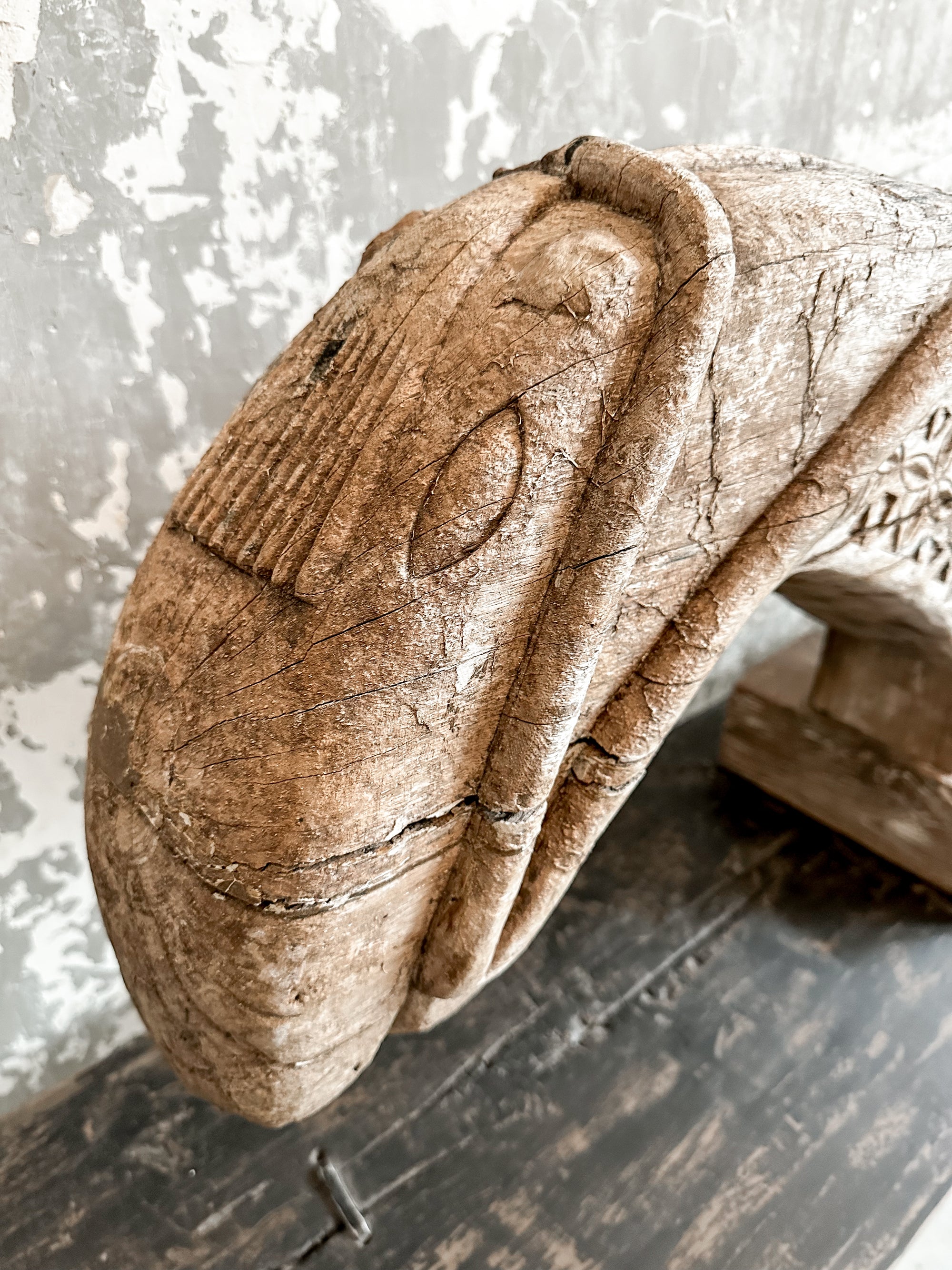 The antique horse Flores