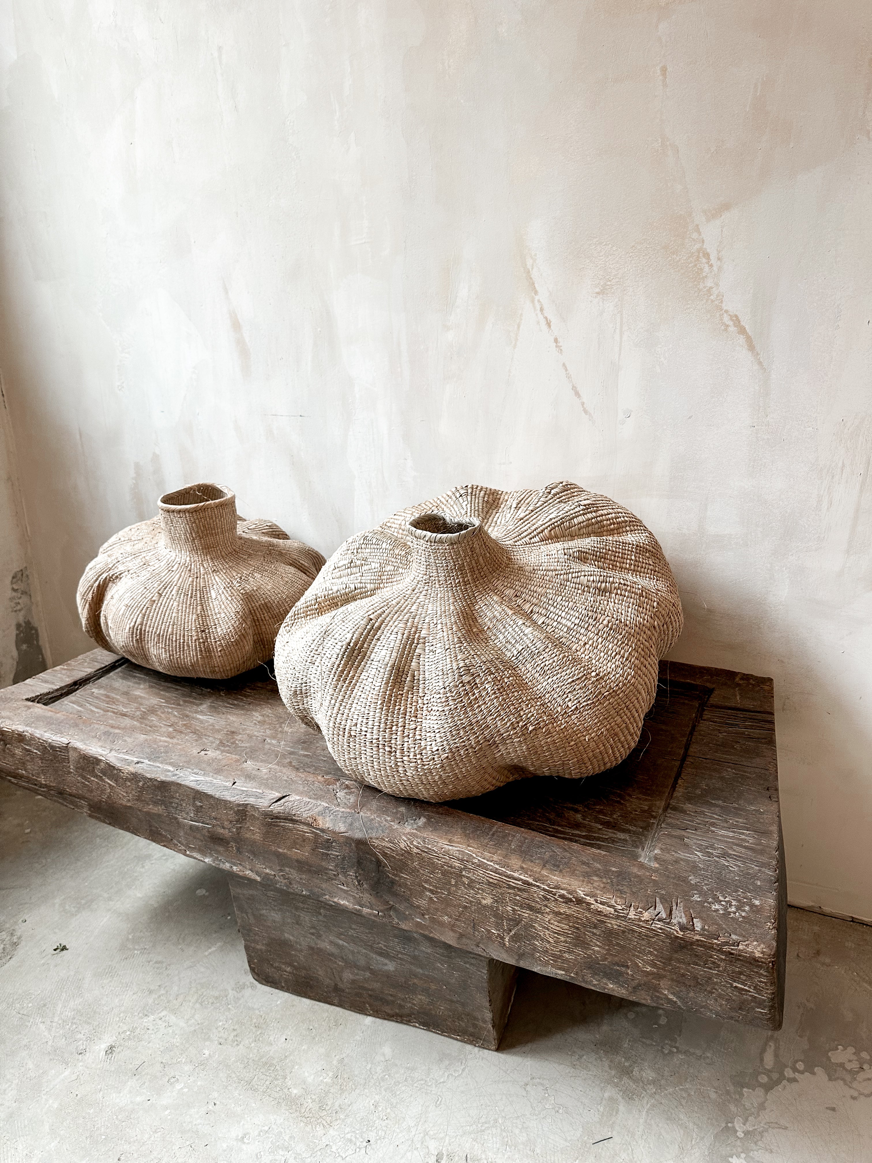 Garlic Gourd batch #1