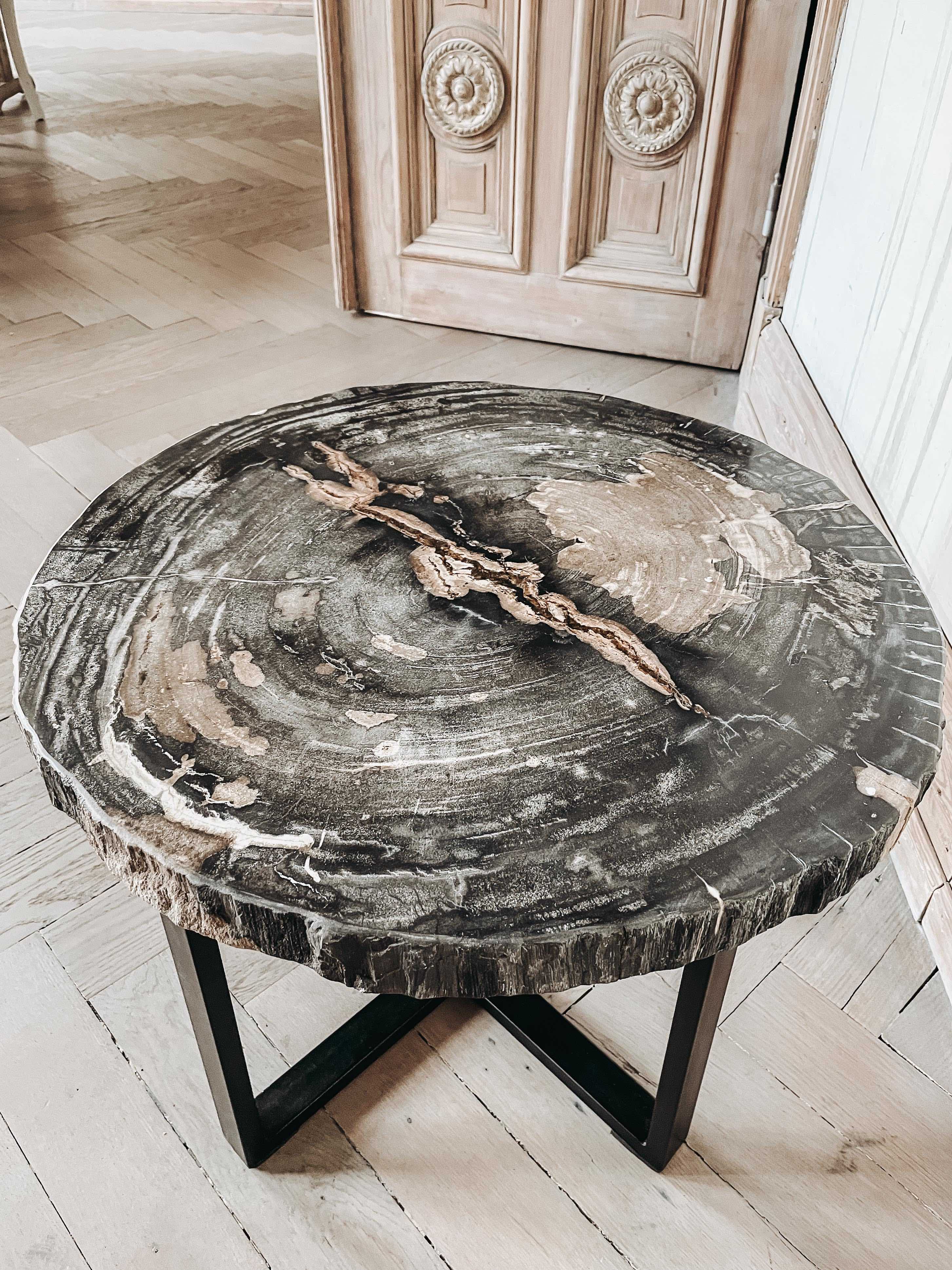 Petrified wood deals table for sale