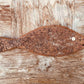 wooden fish Lamu #15