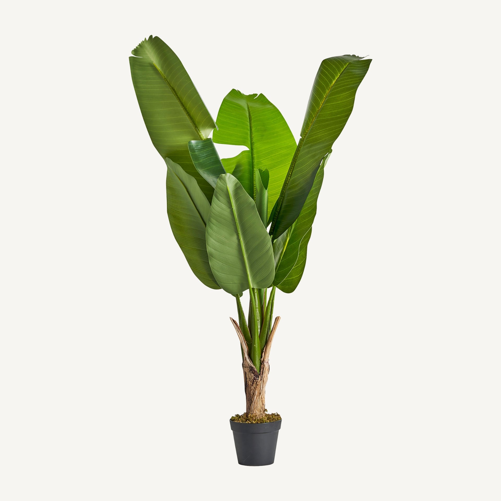 banana tree plant artificial