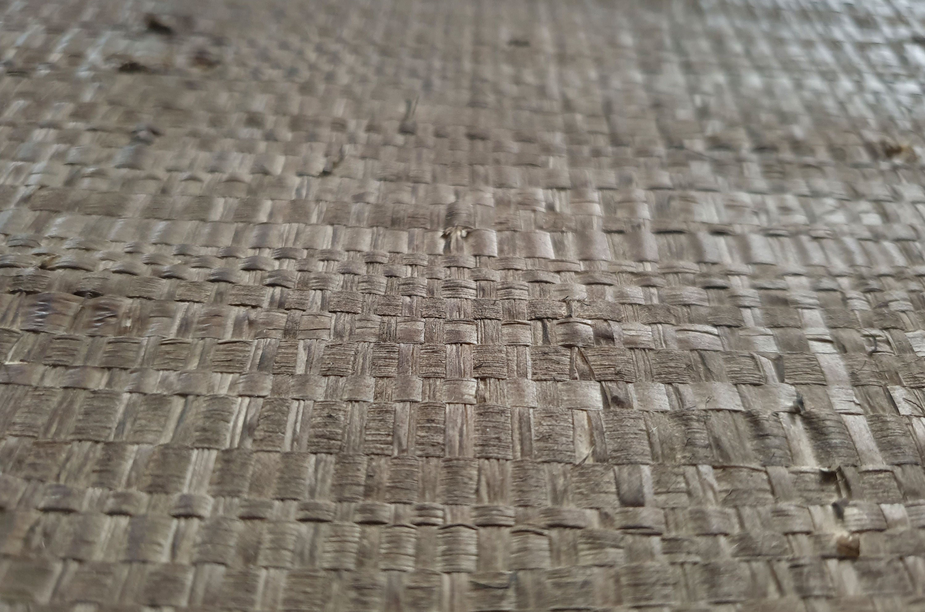 Wand Relief Palme