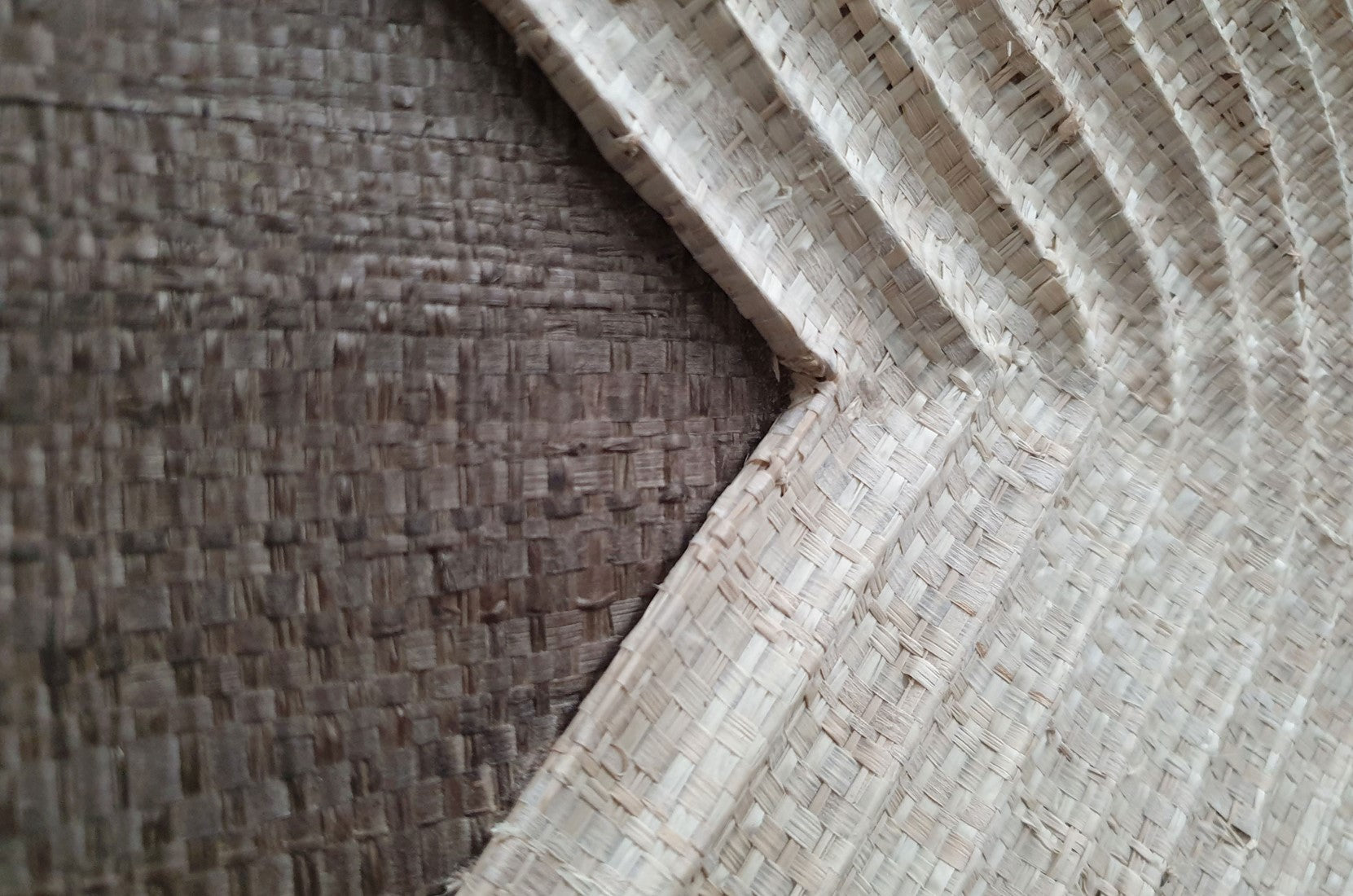 Wand Relief Palme